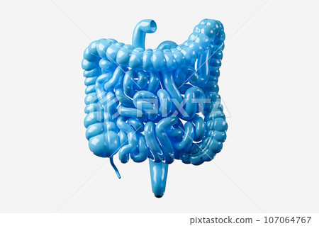 3d illustration of human intestine made of blue plastic 3d illustration of human intestine made of blue plastic 107064767
