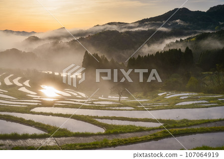(Chiba Prefecture) Oyama Senmaida rice field with morning mist, water mirror (Chiba Prefecture) Oyama Senmaida rice field with morning mist, water mirror 107064919