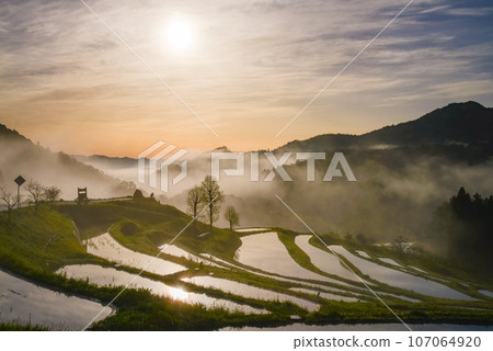 (Chiba Prefecture) Oyama Senmaida rice field with morning mist, water mirror (Chiba Prefecture) Oyama Senmaida rice field with morning mist, water mirror 107064920