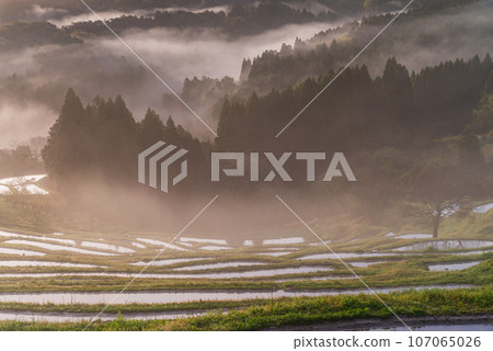 (Chiba Prefecture) Oyama Senmaida rice fields shrouded in morning mist in spring (Chiba Prefecture) Oyama Senmaida rice fields shrouded in morning mist in spring 107065026
