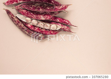 Cranberry beans. Borlotti bean pods in bowl. Top view. Stylish modern food background. Magenta color. Creative foodstuff flat lay. Grocery, dietary backdrop. Advertising, trendy magazine publication. 107065280