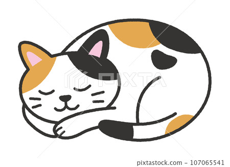 sleeping calico cat 107065541