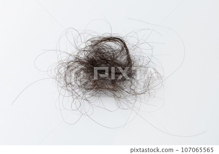 Black hair tuft Black hair tuft 107065565