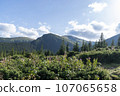 Mountain landscape with forest in the Carpathian mountains of Ukraine. 107065658