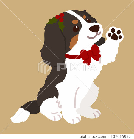 一隻可愛的聖誕主題深棕色騎士查理王小獵犬被處理的插圖,沒有主線 一隻可愛的聖誕主題深棕色騎士查理王小獵犬被處理的插圖,沒有主線 107065932