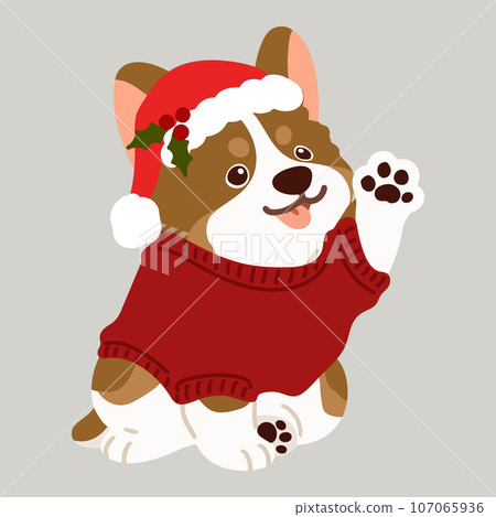 可愛的聖誕風格柯基犬被處理的插圖，沒有主線 107065936