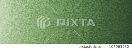 Abstract background, wide banner with green gradient leather texture 107065980