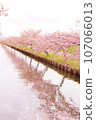 松阪笠松河津櫻花路的櫻花 107066013