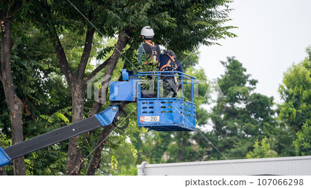 Street tree pruning company that prunes street trees 107066298