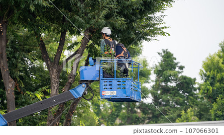 Street tree pruning company that prunes street trees 107066301