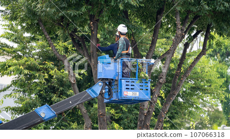 Street tree pruning company that prunes street trees 107066318