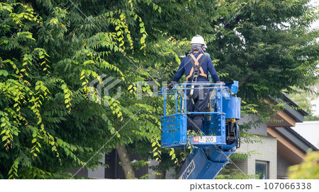 修剪行道樹的行道樹修剪公司 修剪行道樹的行道樹修剪公司 107066338