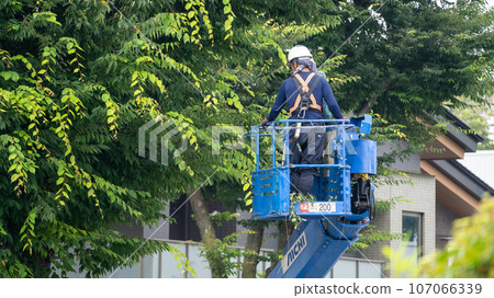 修剪行道樹的行道樹修剪公司 107066339