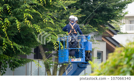 修剪行道樹的行道樹修剪公司 修剪行道樹的行道樹修剪公司 107066340