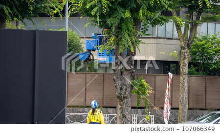 修剪行道樹的行道樹修剪公司 107066349