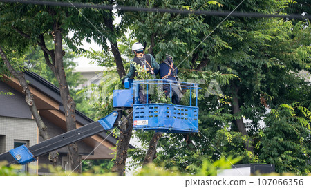 Street tree pruning company that prunes street trees 107066356