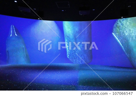 Scenery of the aquarium "AOAO SAPPORO" inside moyuk SAPPORO 107066547