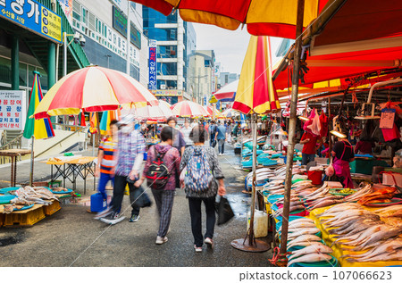 Busan Jagalchi Market 107066623