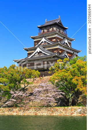 [Hiroshima Prefecture] The castle tower of Hiroshima Castle with cherry blossoms in full bloom 107066944