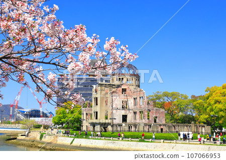 [Hiroshima Prefecture] Cherry blossoms in full bloom and the Atomic Bomb Dome 107066953