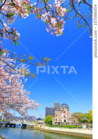 [Hiroshima Prefecture] Cherry blossoms in full bloom and the Atomic Bomb Dome 107066954
