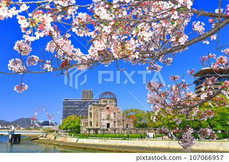 [廣島縣]盛開的櫻花和原爆圓頂 107066957