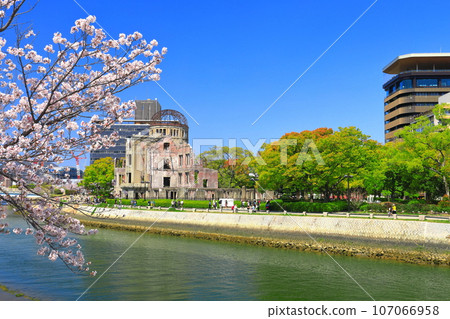 [廣島縣]盛開的櫻花和原爆圓頂折鶴塔 107066958
