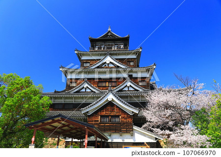 [Hiroshima Prefecture] The castle tower of Hiroshima Castle with cherry blossoms in full bloom 107066970