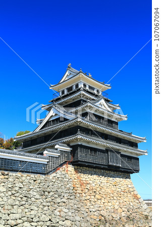 [大分縣]天氣好的中津城 107067094