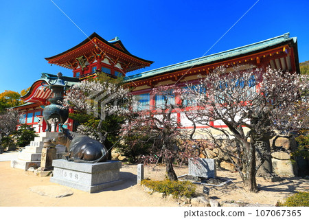 [山口縣]梅花節期間的防府天滿宮 107067365