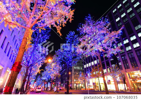 [Osaka Prefecture] Midosuji Illumination 107068035