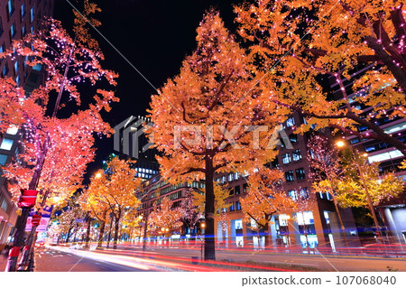 [大阪府]禦堂筋燈飾 107068040