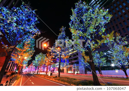 [Osaka Prefecture] Midosuji Illumination 107068047