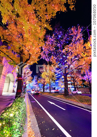[Osaka Prefecture] Midosuji Illumination 107068050