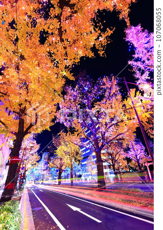 [Osaka Prefecture] Midosuji Illumination 107068055