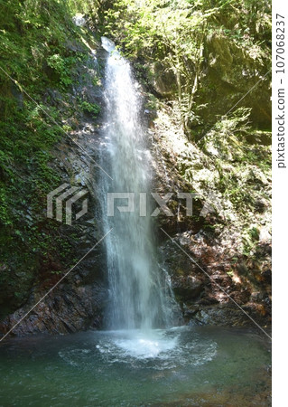 Hossawa Falls on a summer morning, Tokyo 107068237