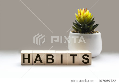 the word habits written on a wooden block and a white background, next to a cactus flower 107069122