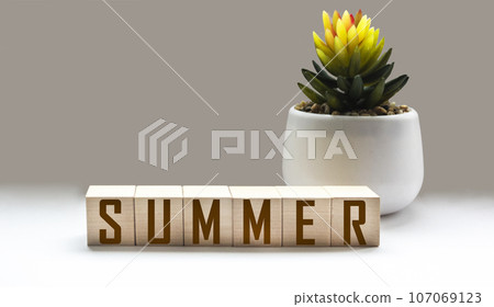 On a white background with a cactus, wooden cubes with the inscription summer on a white background. 107069123