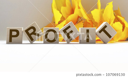 Profit Word Written on Wooden Cubes. Business concept 107069130
