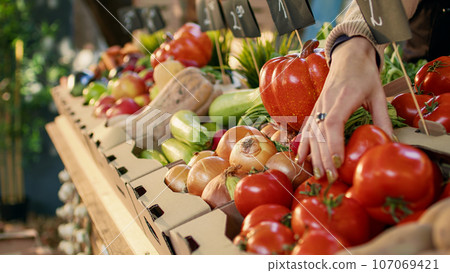 Female farmer arranging fruits and veggies on farmers market counter, preparing to sell natural bio products. Woman small business owner selling homegrown organic produce. Close up. Female farmer arranging fruits and veggies on farmers market counter, preparing to sell natural bio products. Woman small business owner selling homegrown organic produce. Close up. 107069421