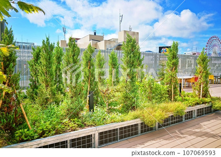 Sky Garden at Moyuk SAPPORO Sky Garden at Moyuk SAPPORO 107069593