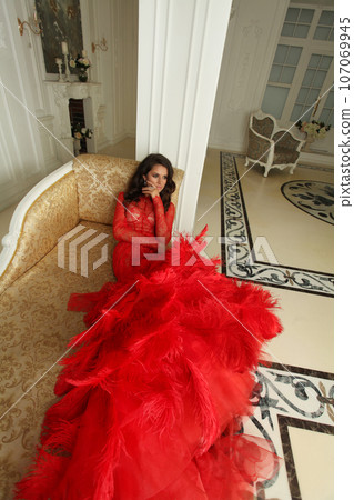 Fashion beauty portrait of stylish gorgeous elegant woman in luxurious interior Fashion beauty portrait of stylish gorgeous elegant woman in luxurious interior 107069945