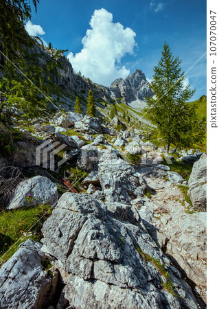 landscape with mountains, clouds, rocks and trees 107070047