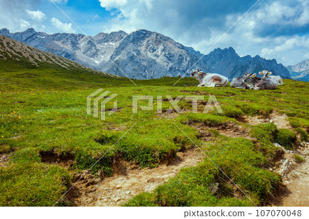 landscape with mountains, clouds and grass 107070048