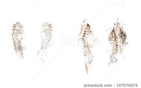 Black footprint isolated on white background, top view Black footprint isolated on white background, top view 107070078