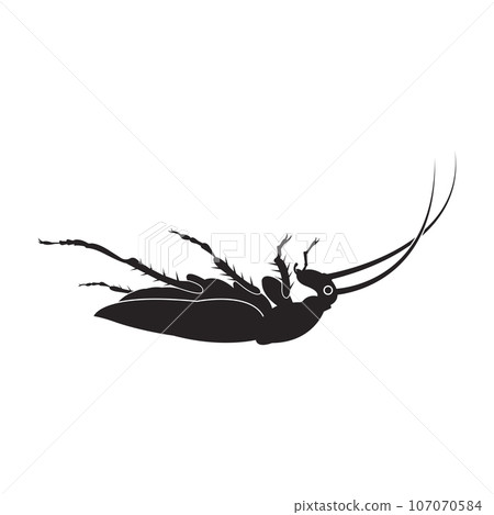 Cockroach icon Cockroach icon 107070584