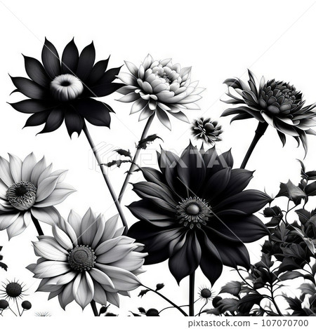 Luxury botanical background with trendy black and white minimalist flowers on a white background. Luxury botanical background with trendy black and white minimalist flowers on a white background. 107070700
