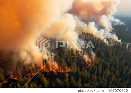 Dry summers and forest fires. Dry summers and forest fires. 107070820