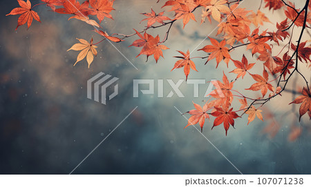 Closeup of leaves on a branch in autumn. autumn background 107071238