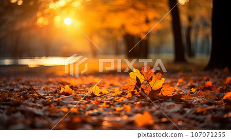 The road in the park strewn with autumn leaves. Autumn landscape of the long road. autumn concept.  107071255